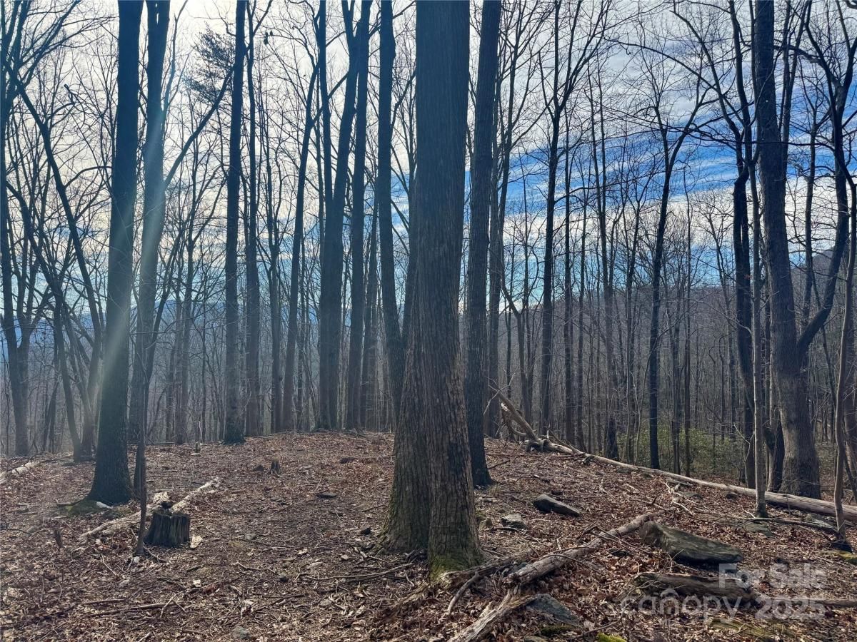 MLS #CAR4233537 image #0