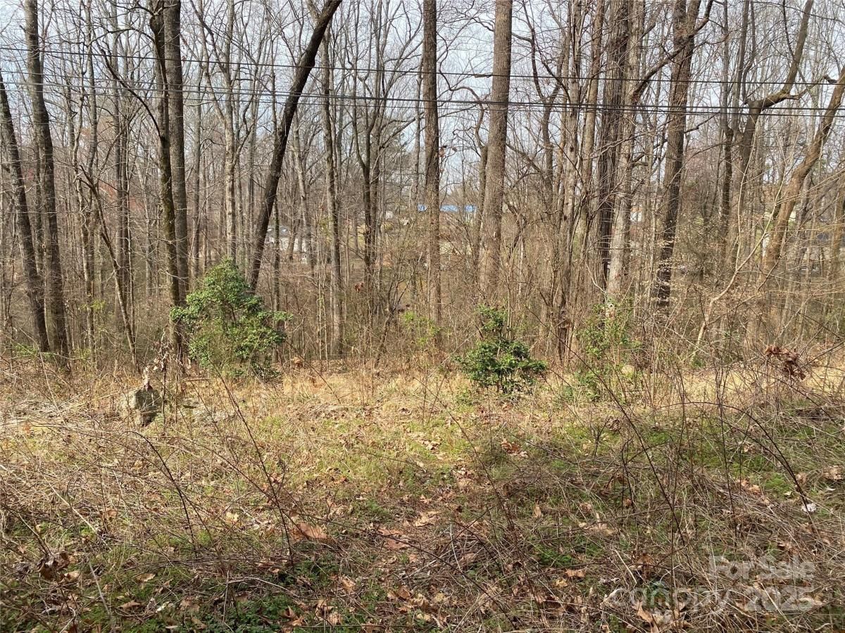 MLS #CAR4233900 image #0