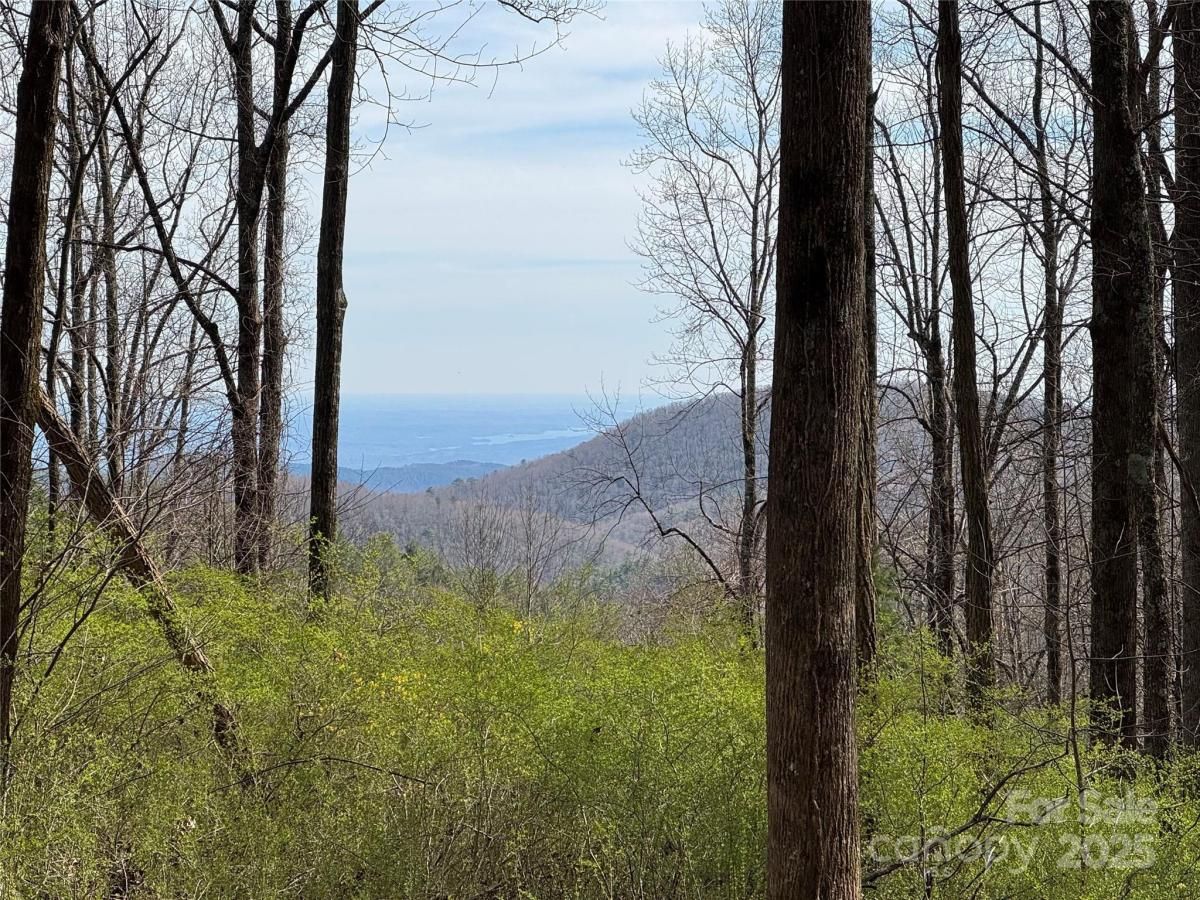 MLS #CAR4234893 image #0