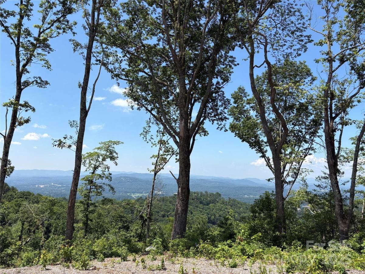 MLS #CAR4234963 image #0