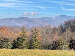 broker reciprocity