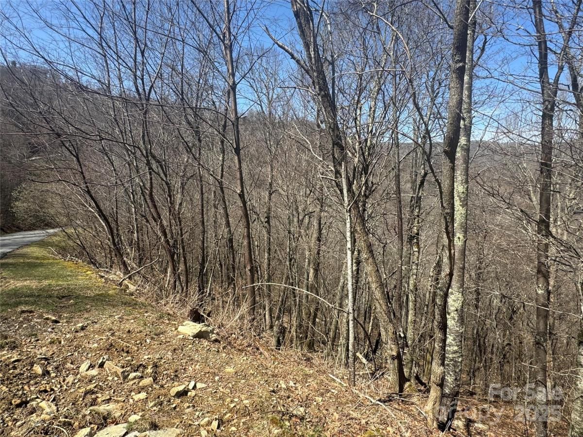 MLS #CAR4235942 image #0