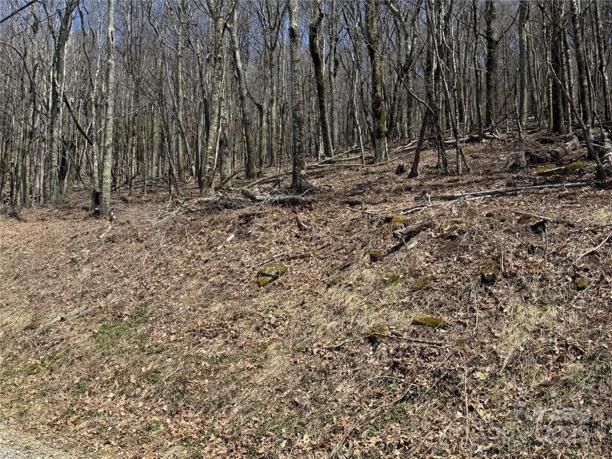 MLS #CAR4235956 image #0