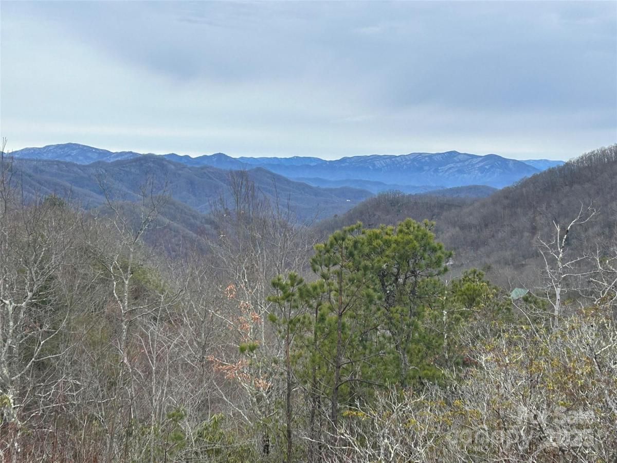 MLS #CAR4237421 image #0