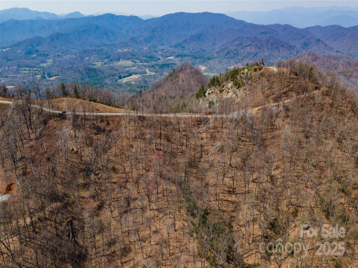 MLS #CAR4239043 image #0