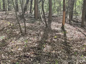 broker reciprocity