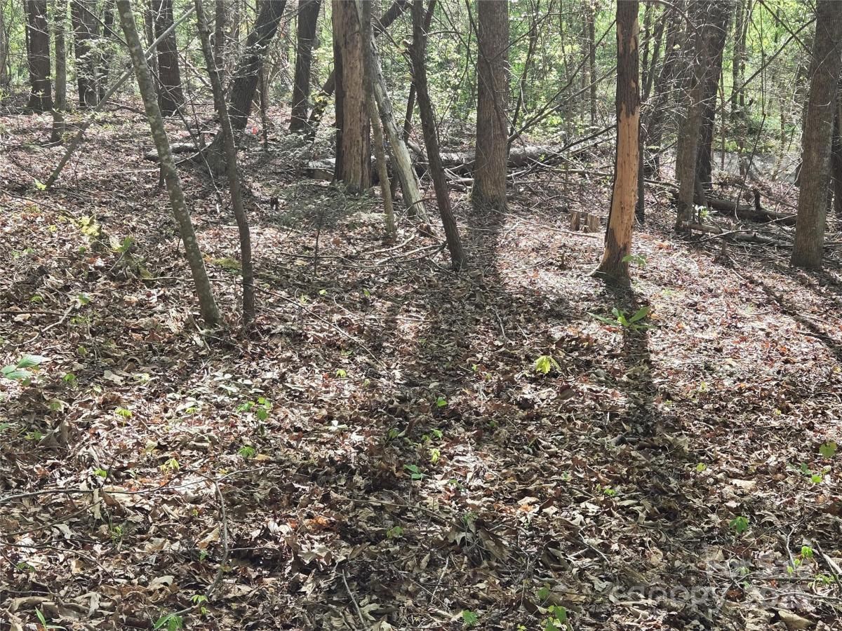 MLS #CAR4239278 image #0