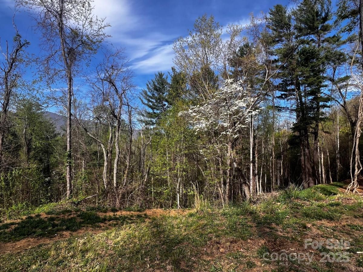 MLS #CAR4240133 image #0