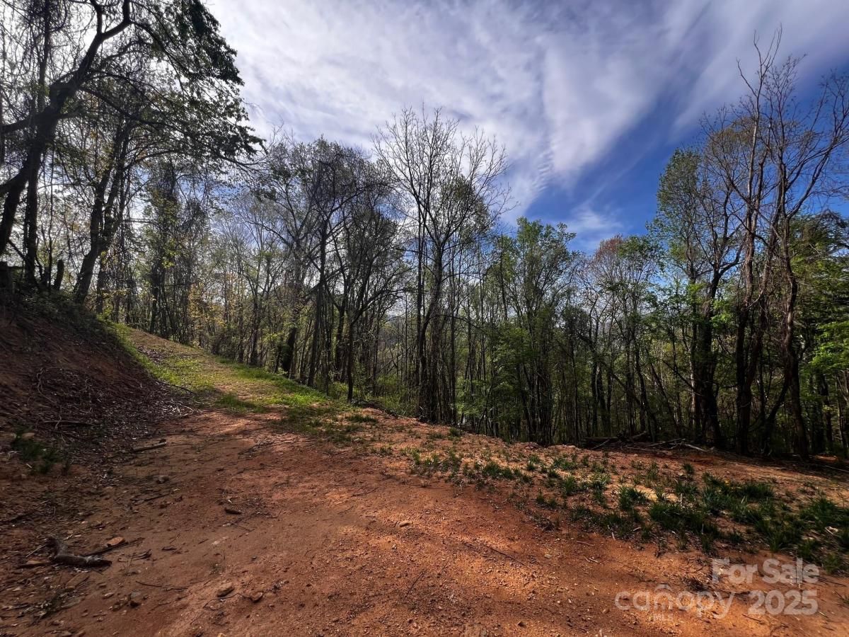 MLS #CAR4240136 image #0