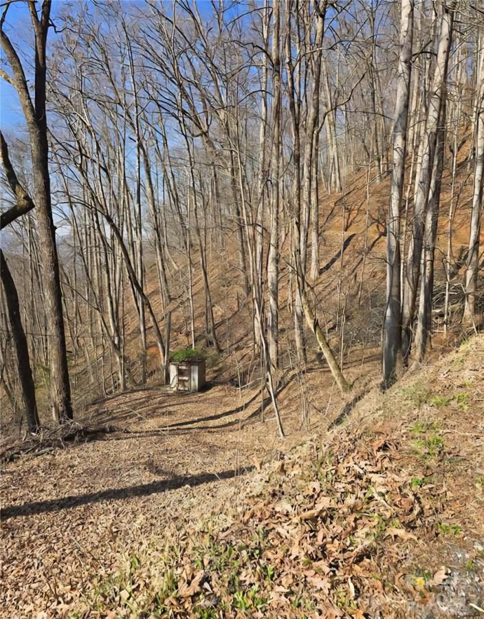 MLS #CAR4240623 image #0