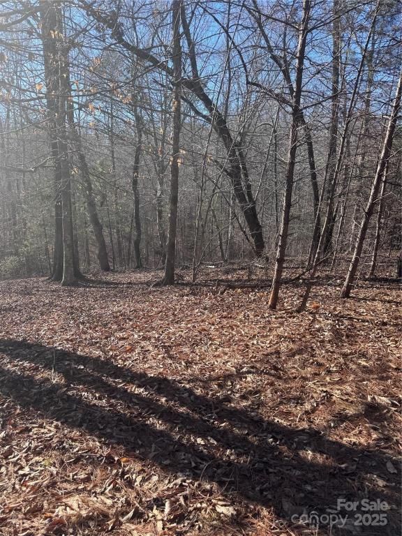 MLS #CAR4240927 image #0