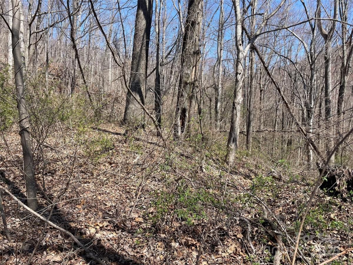 MLS #CAR4241059 image #0