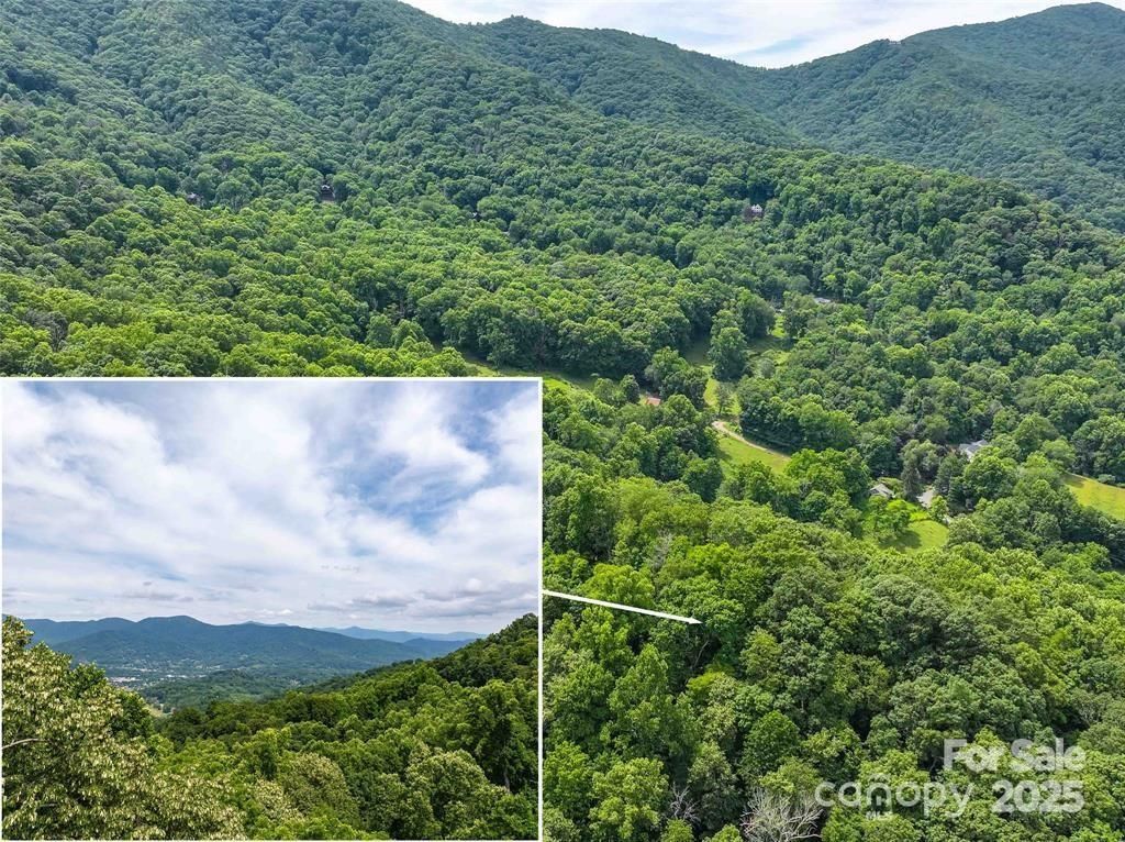 MLS #CAR4241751 image #0