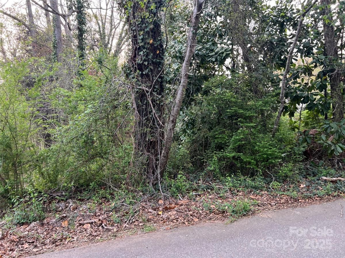 MLS #CAR4242546 image #0