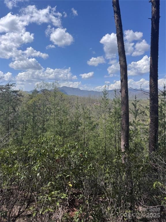 MLS #CAR4243188 image #0