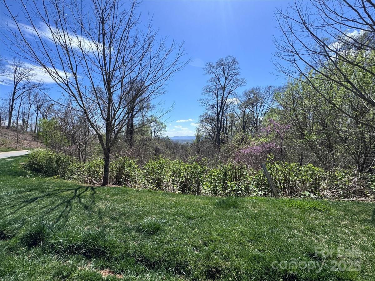 MLS #CAR4243923 image #0