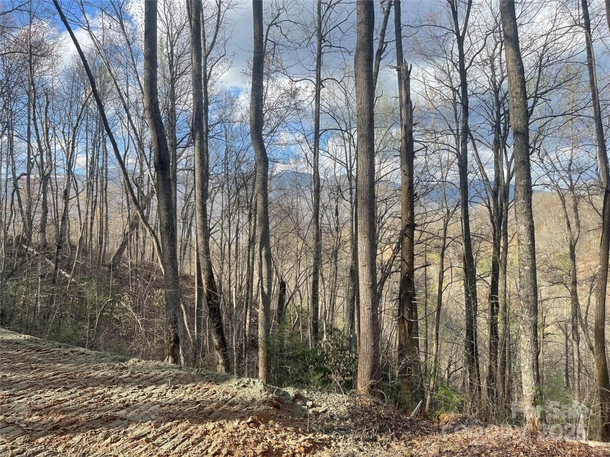 MLS #CAR4244178 image #0