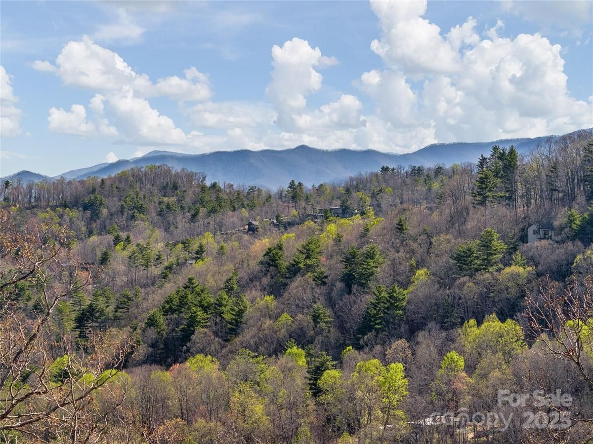 MLS #CAR4245162 image #0