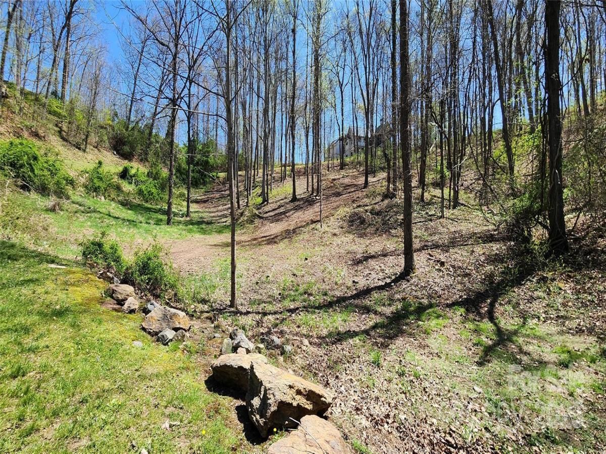 MLS #CAR4246154 image #0