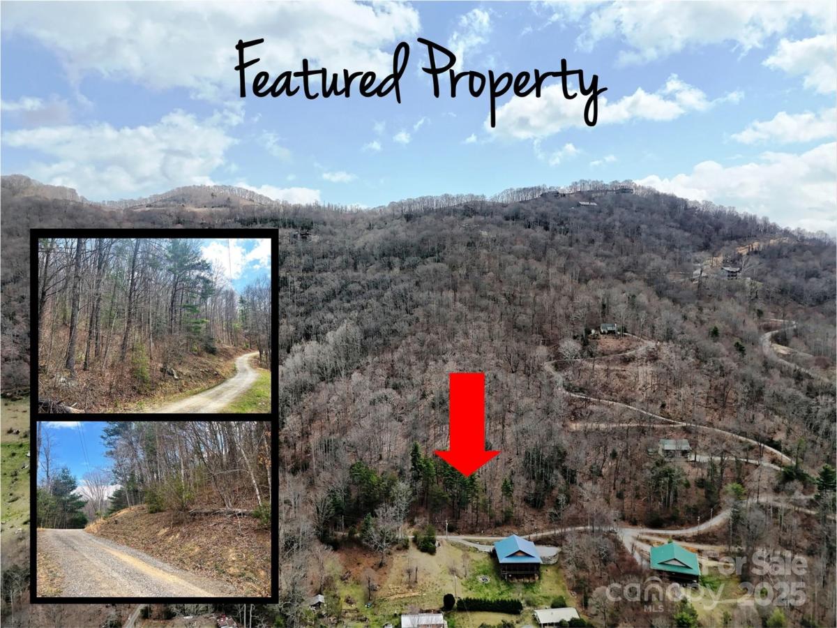 MLS #CAR4247025 image #0