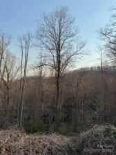 MLS #CAR4248287 image #0