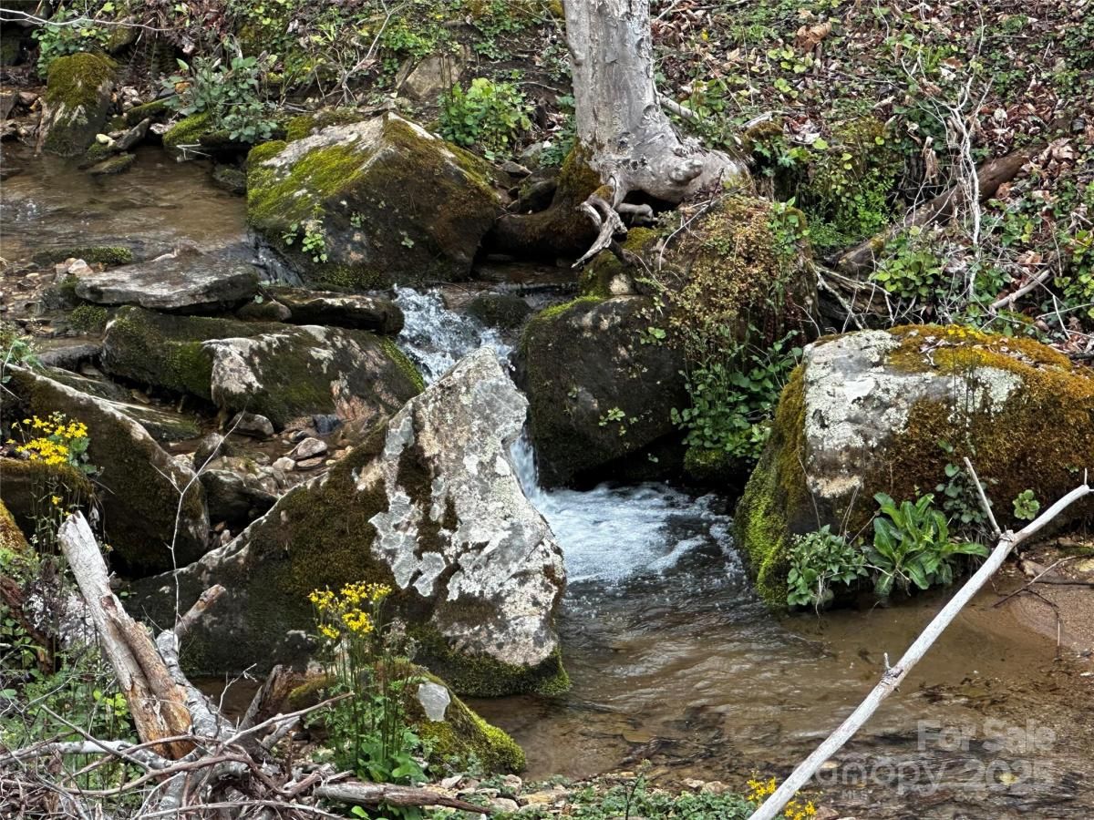 MLS #CAR4248326 image #0