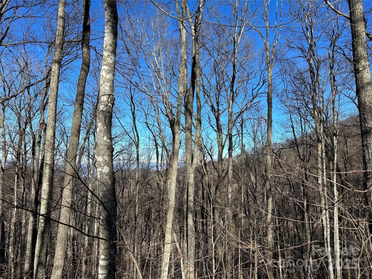 MLS #CAR4248707 image #0