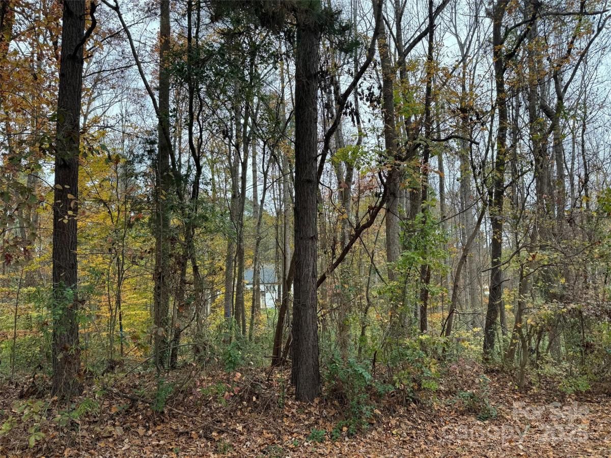 MLS #CAR4248824 image #0