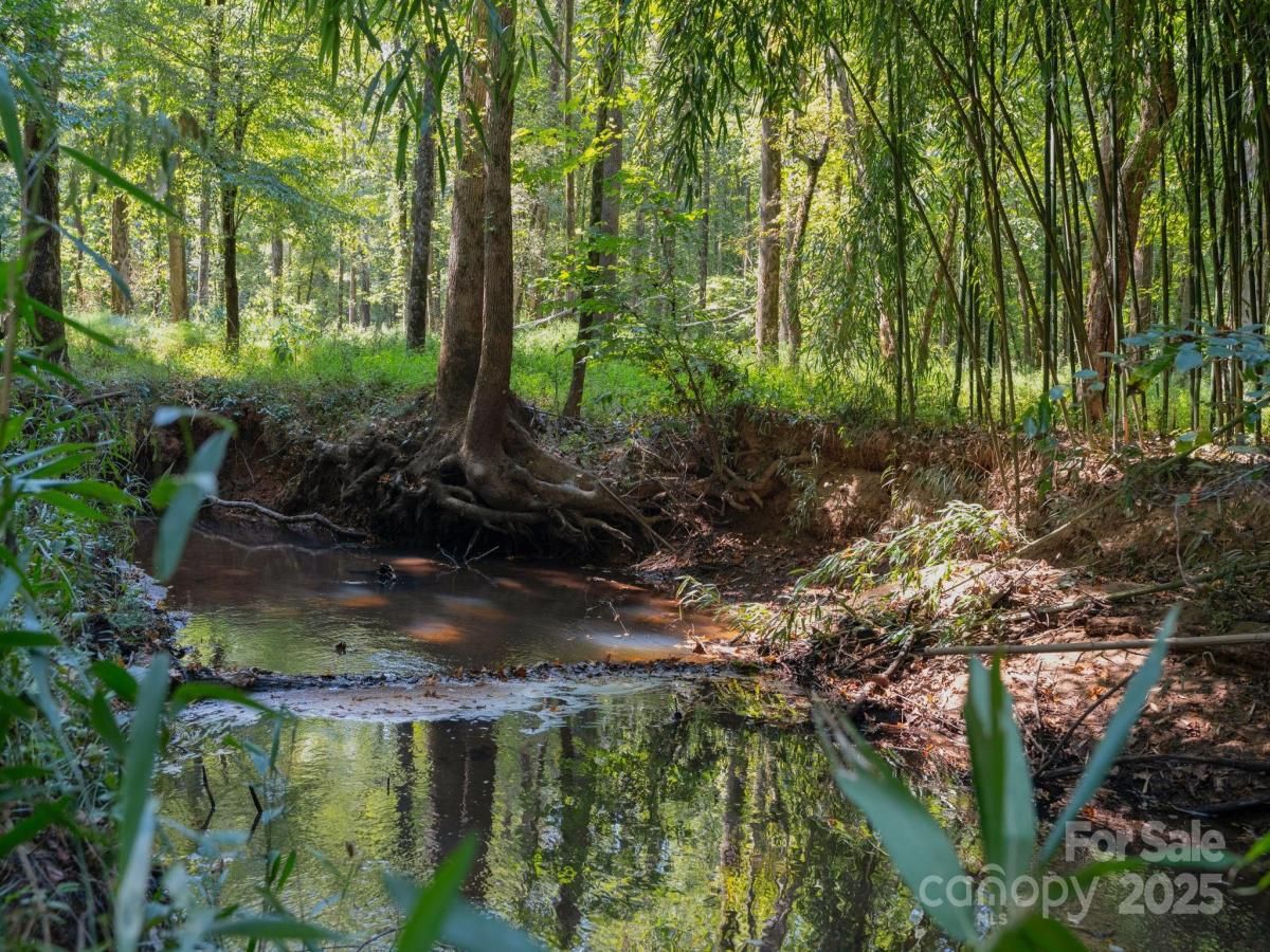 MLS #CAR4249271 image #0