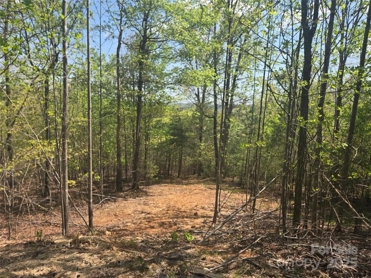 MLS #CAR4249462 image #0