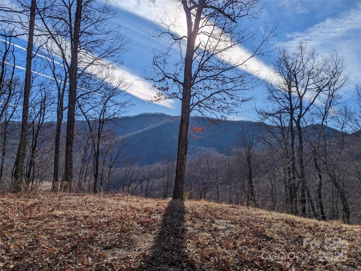 MLS #CAR4249467 image #0