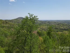 broker reciprocity