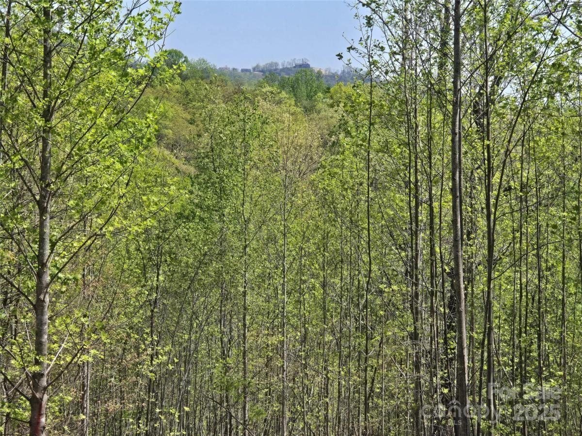 MLS #CAR4250025 image #0