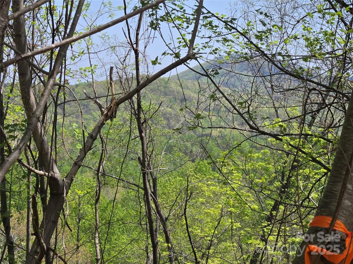 MLS #CAR4250059 image #0