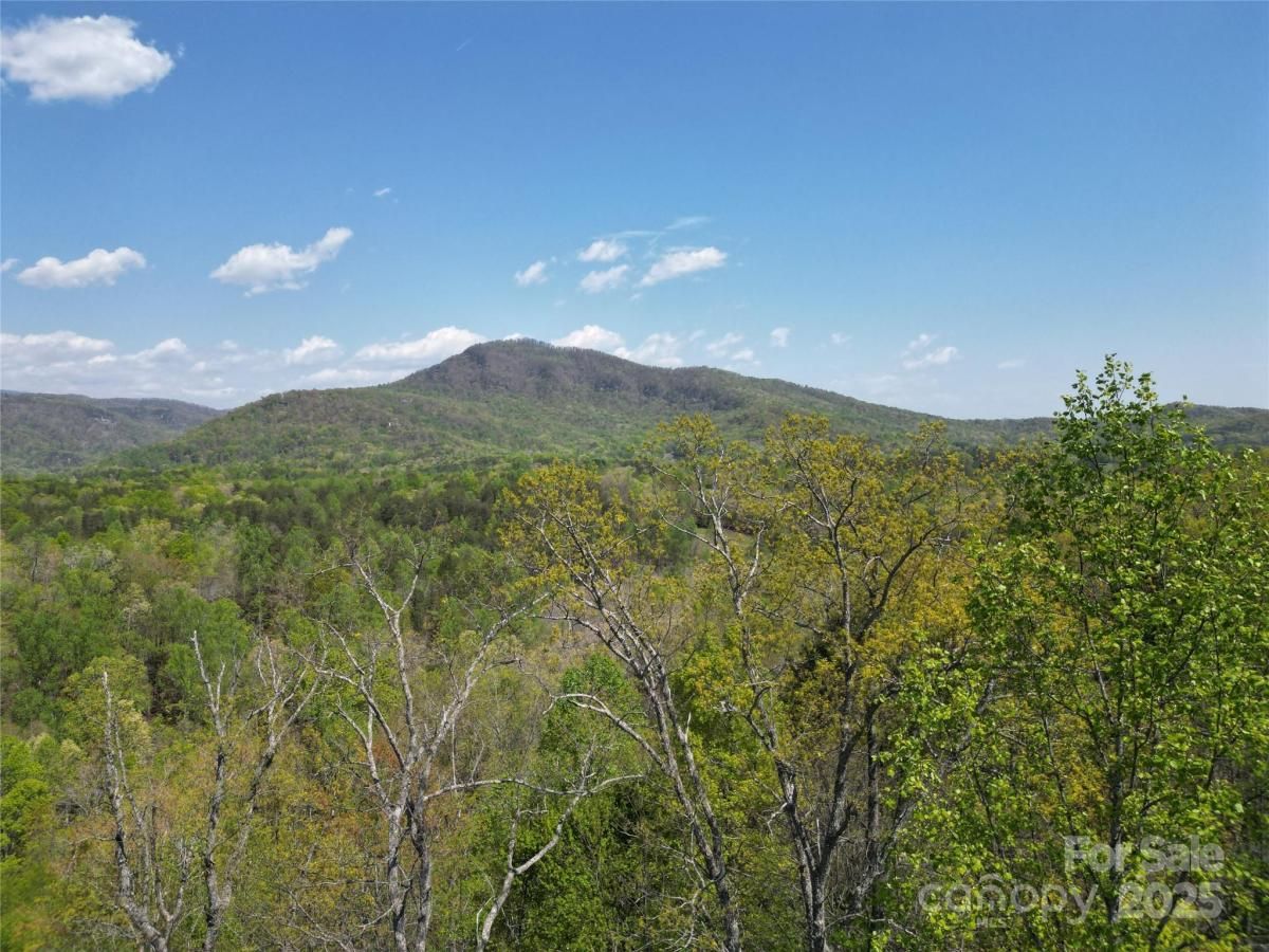 MLS #CAR4250098 image #0