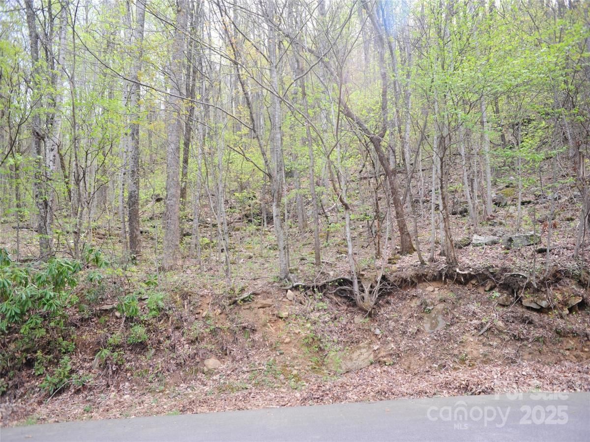 MLS #CAR4250491 image #0