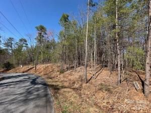 MLS #CAR4250727 image #0