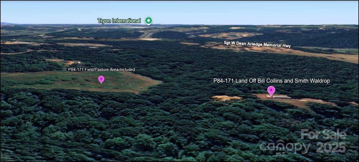 MLS #CAR4251298 image #0