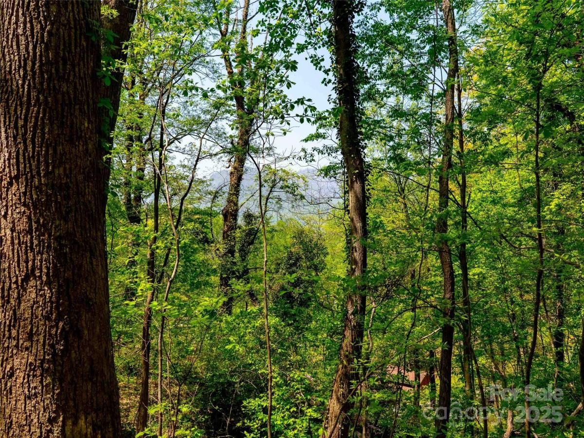 MLS #CAR4251550 image #0