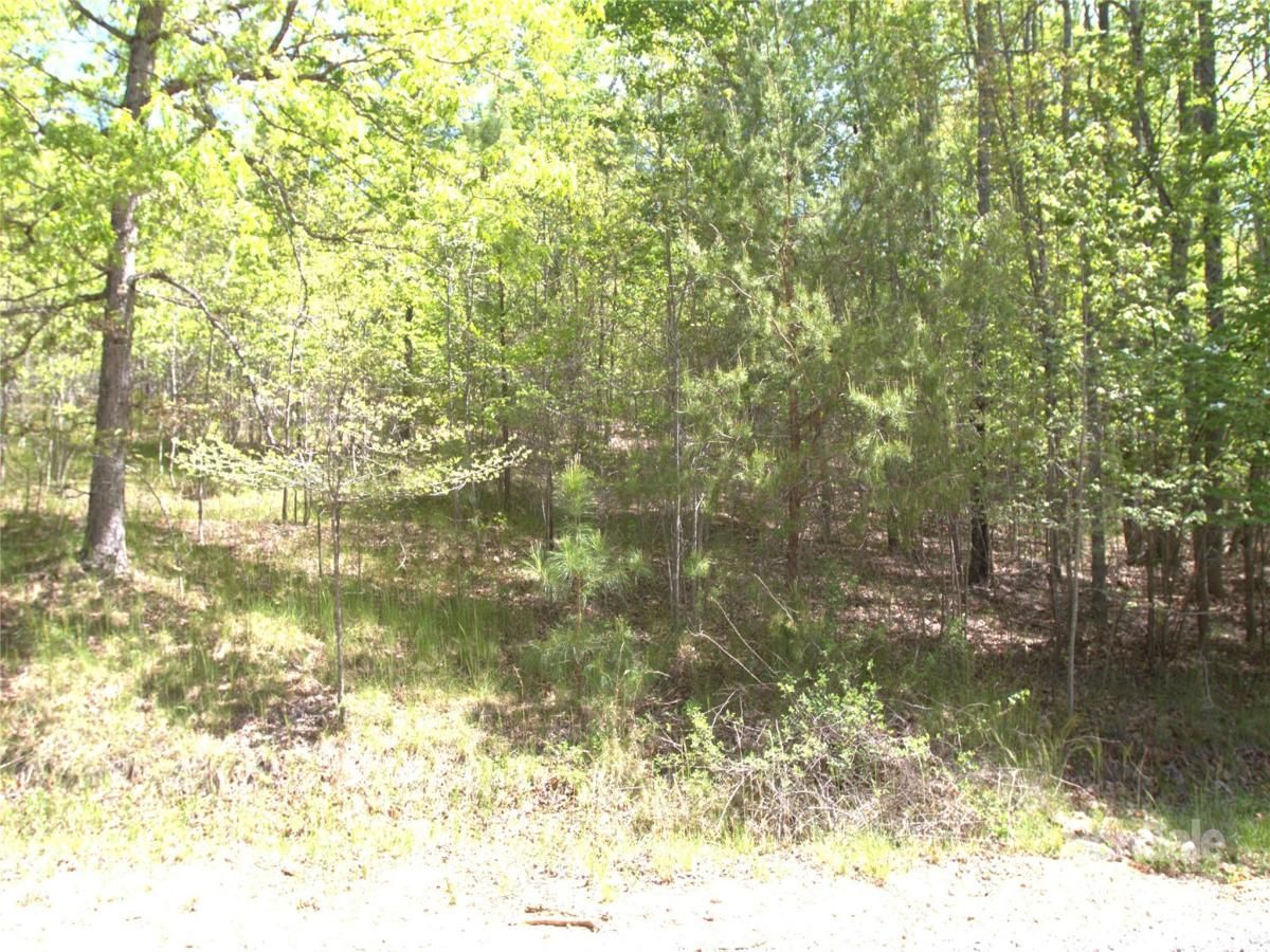 MLS #CAR4252210 image #0