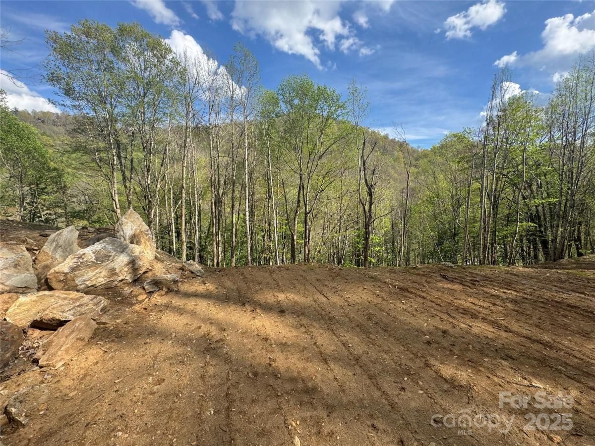 MLS #CAR4253770 image #0