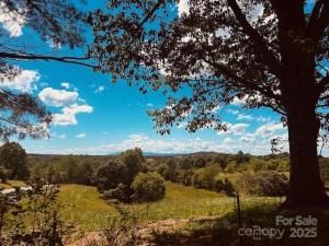 MLS #CAR4254259 image #0