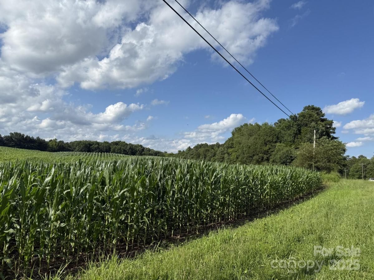 MLS #CAR4254934 image #0