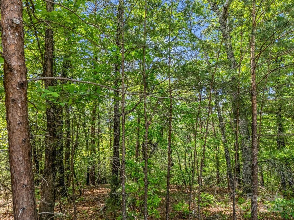 MLS #CAR4255130 image #0