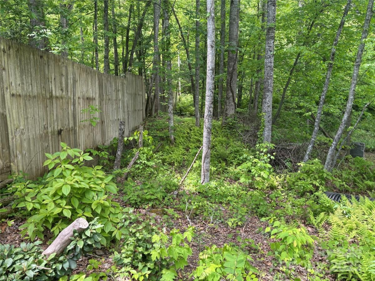 MLS #CAR4256437 image #0