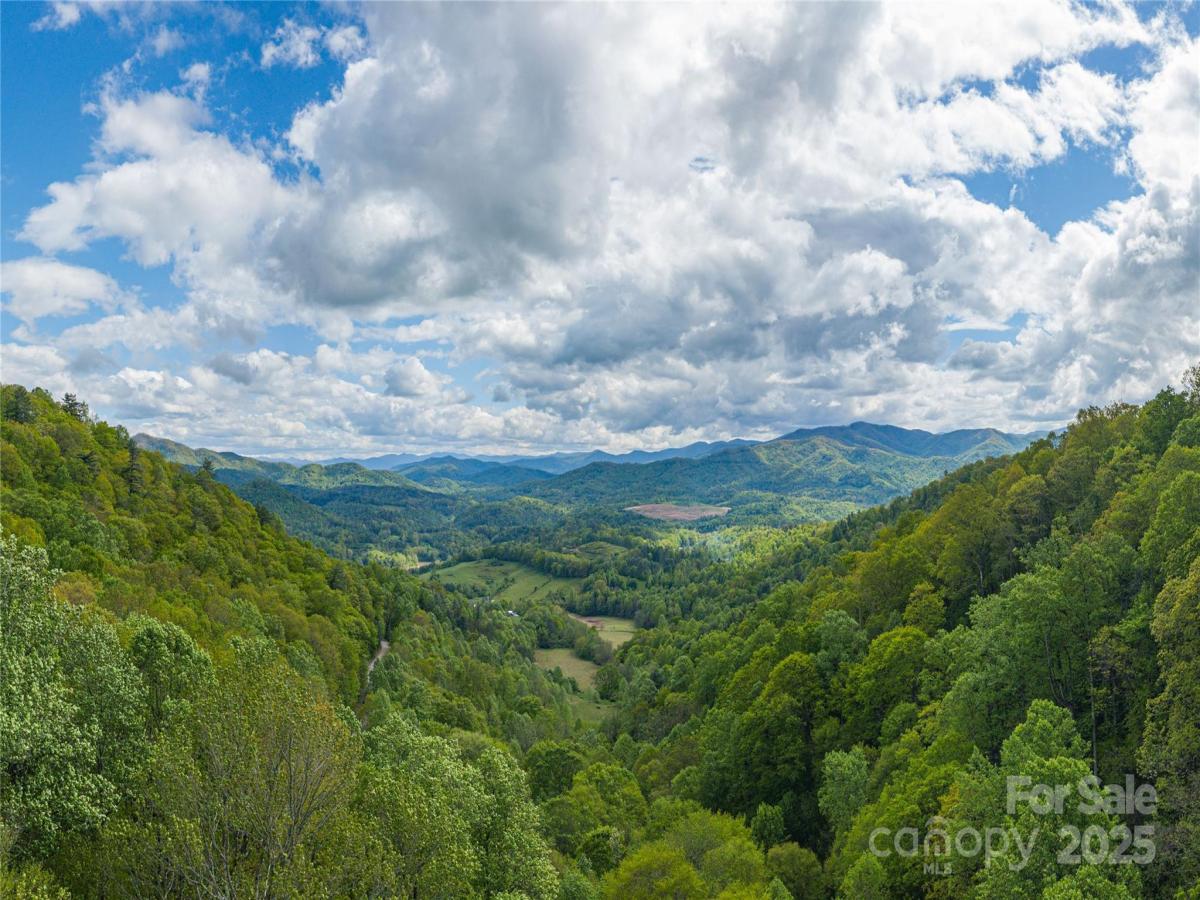 MLS #CAR4256643 image #0