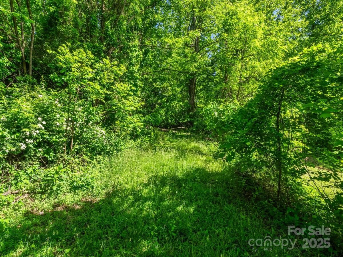 MLS #CAR4258124 image #0