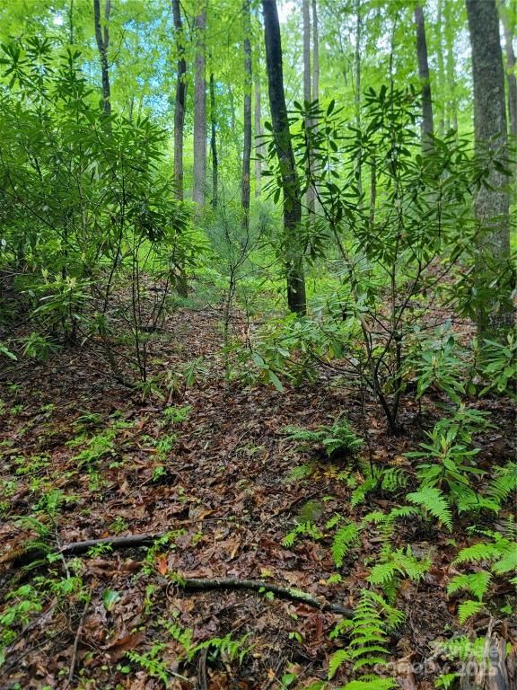 MLS #CAR4260053 image #0