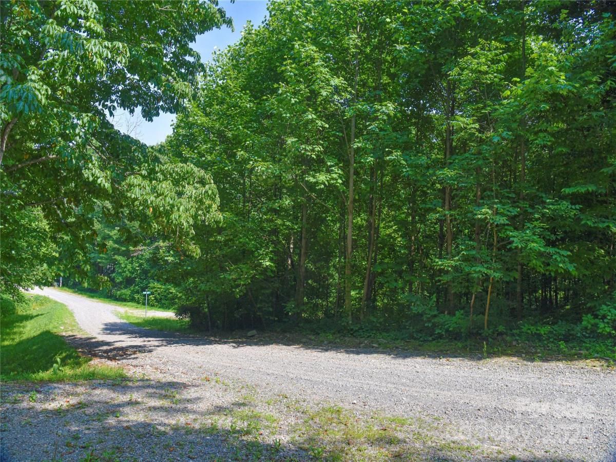 MLS #CAR4260180 image #0