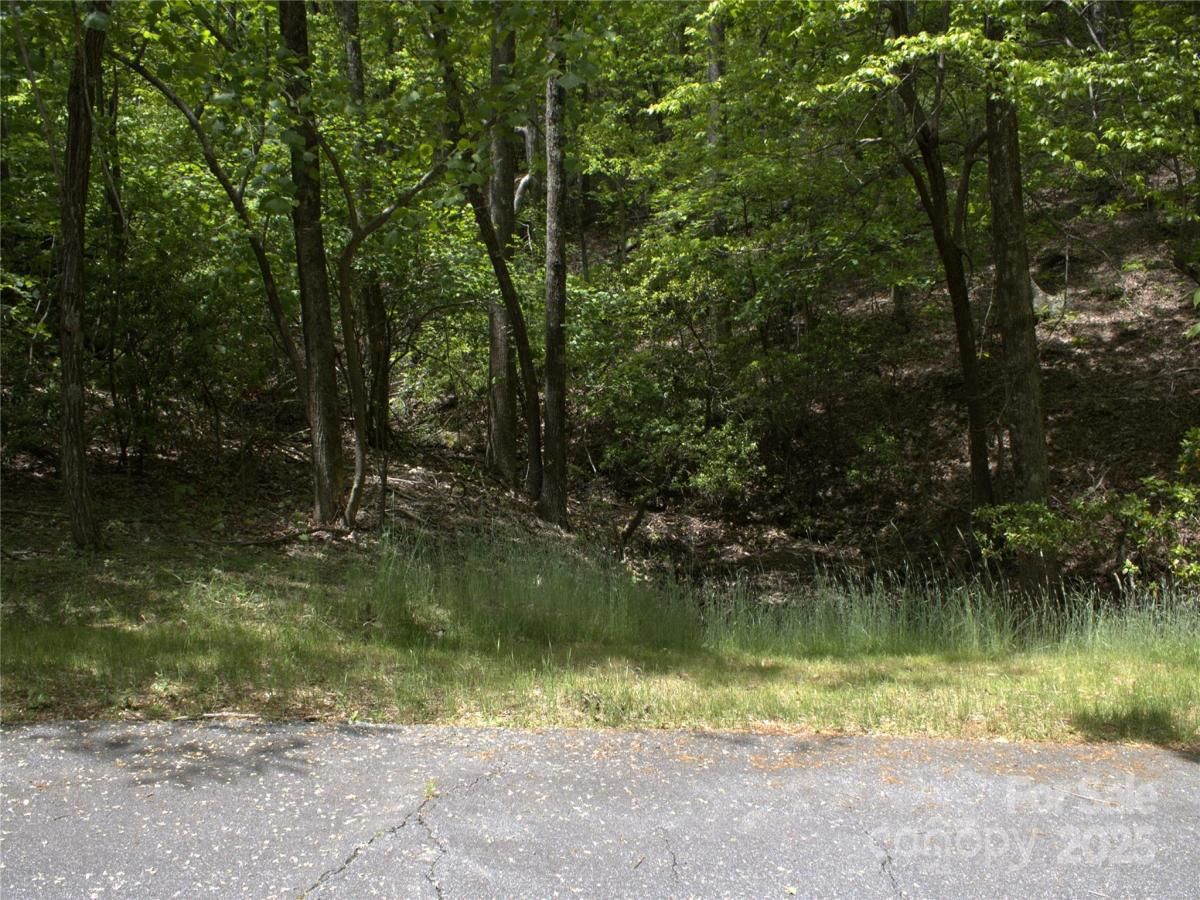 MLS #CAR4260220 image #0